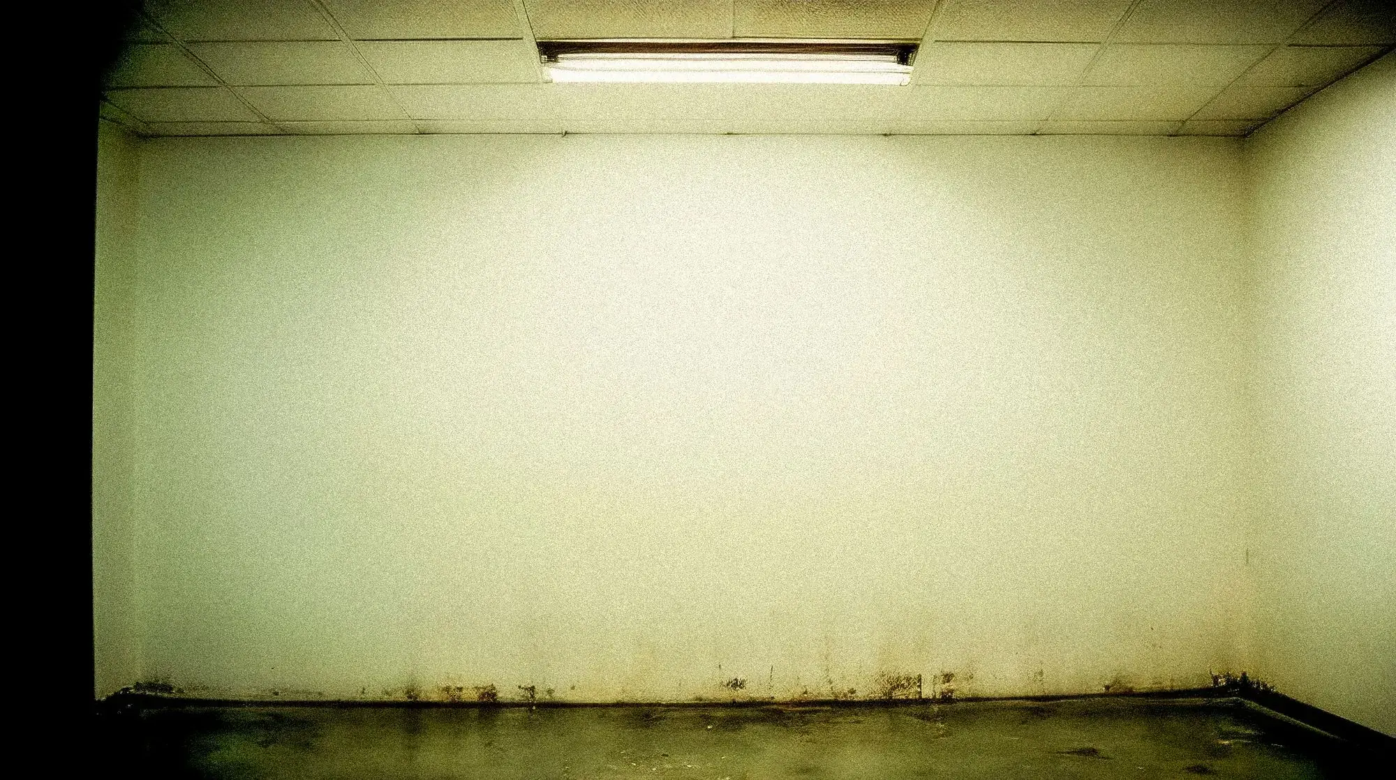 Basement wall with dark mold staining along the base under a fluorescent light