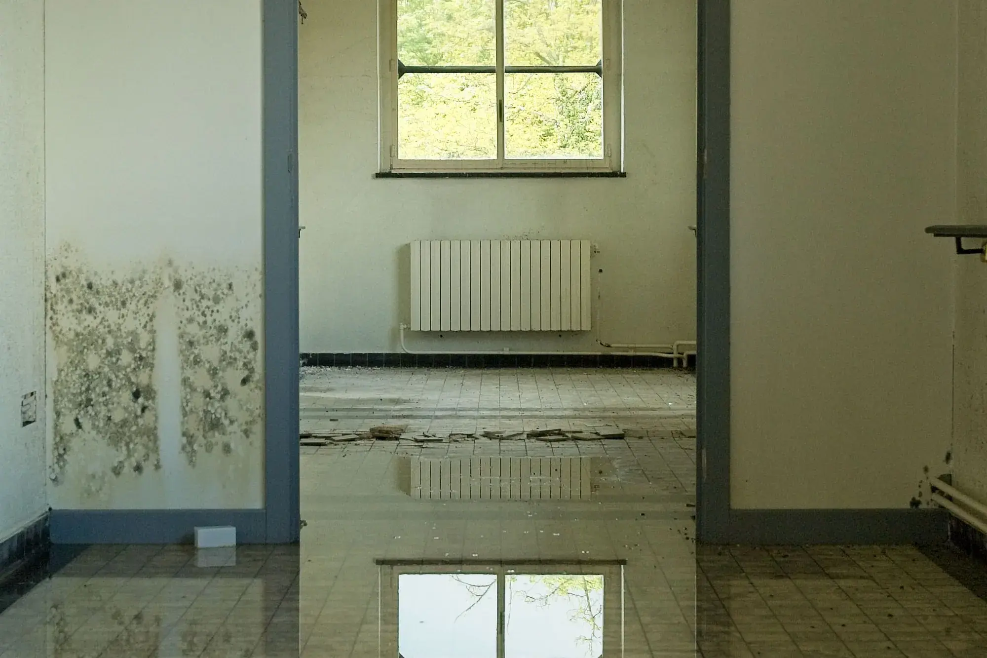 Room with a wet floor and mold staining along the base of the wall